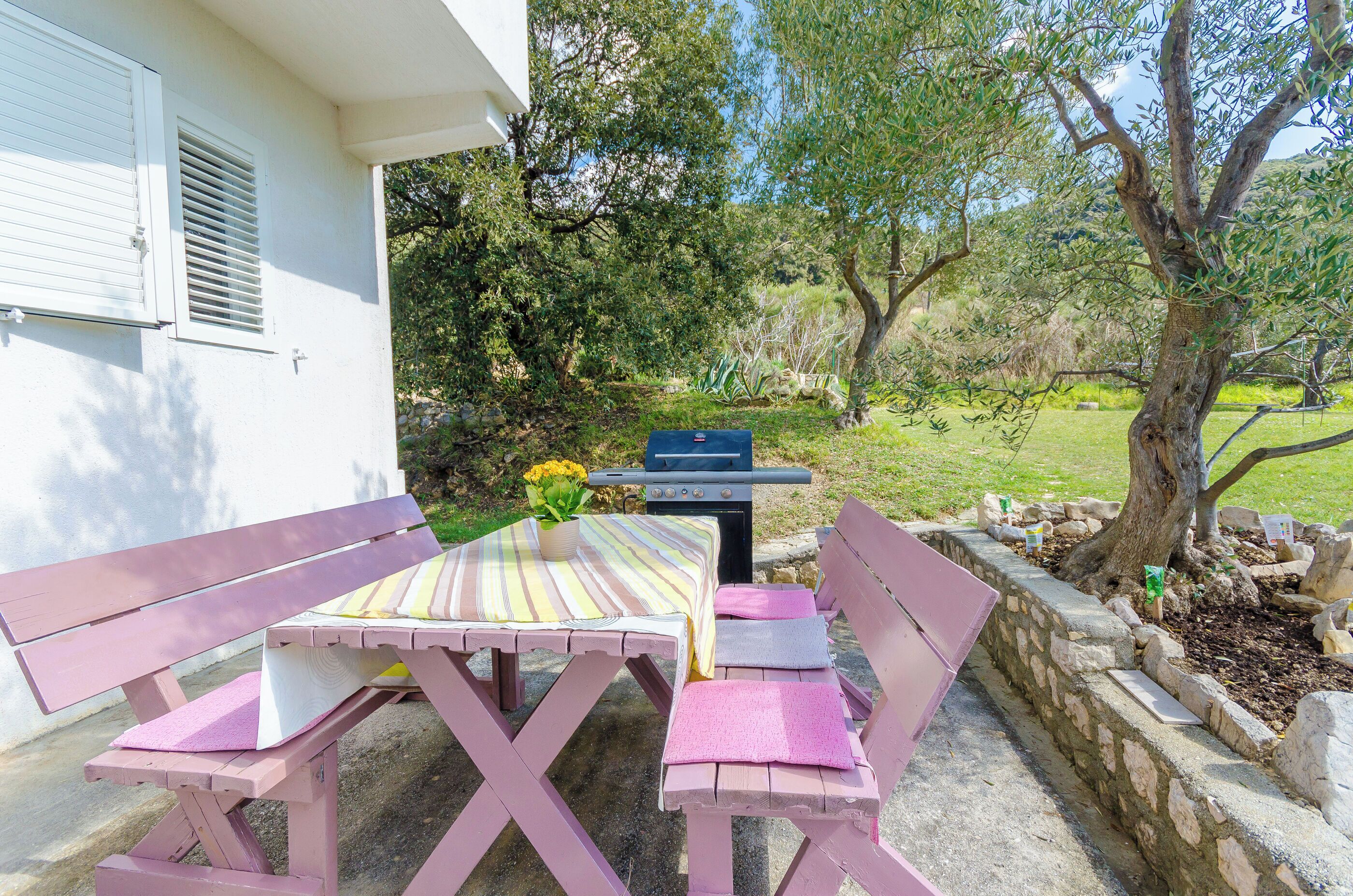 Barbekü/piknik alanı