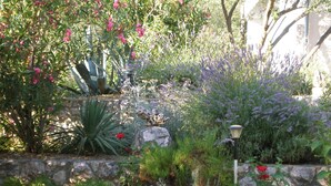 Un jardin avec différentes sortes de plantes et un mur en pierre.