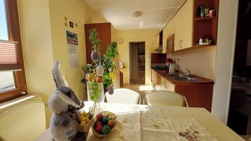 Apartment (A1) | Private kitchen | Fridge, microwave, oven, stovetop