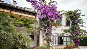Ein Haus mit einer Stein-Fassade, großen Fenstern und einem Garten mit violetten Blumen und Palmen.
