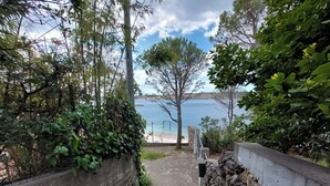 Un sentiero che conduce a una spiaggia, con un muro di pietra su un lato e una recinzione in filo spinato sull'altro, immerso nel verde.