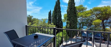 客房 (S1) | 陽台