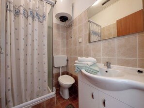 Une salle de bain équipée d’une douche, de toilettes, d’un lavabo et d’un miroir.