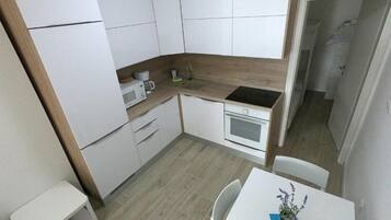 Apartment (A1) | Private kitchen | Fridge, microwave, oven, stovetop