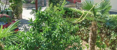 Appartement (A1) | Jardin