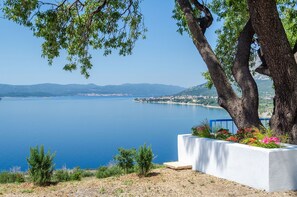 A coastal landscape with a large body of water, a tree, and a white planter with flowers. - House Deja Blue (Orebic)