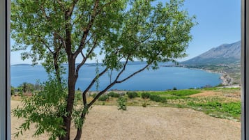 House | Aerial view