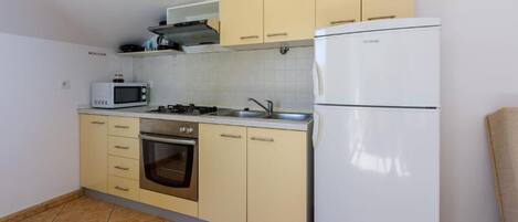 Apartment (A2) | Private kitchen | Fridge, microwave, oven, stovetop