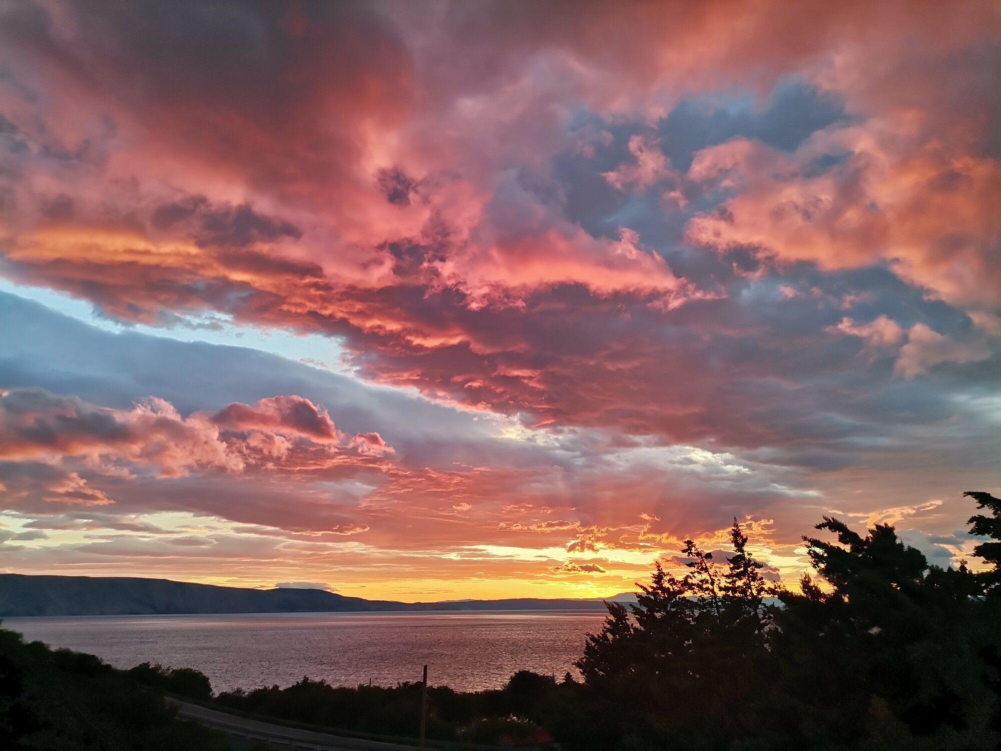 Un tramonto su una distesa d'acqua, con una strada e alberi sullo sfondo.