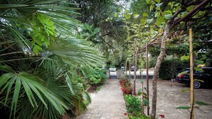 Uma trilha de pedra ladeada por vegetação exuberante e plantas floridas, com um carro estacionado no acostamento.