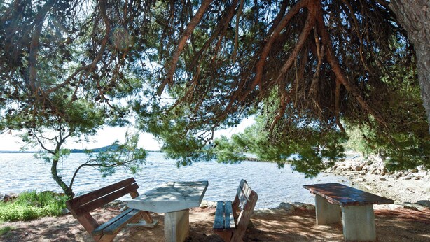 Picnicområde ved søen med bænke og borde i skyggen af et stort træ.