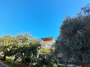 庭園