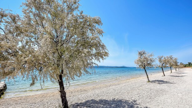 A beach with trees and clear water. - Mobile Home Dandelion (Biograd na Moru)