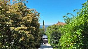 Un chemin de pierres bordé d’une végétation luxuriante, sous un ciel bleu azur.