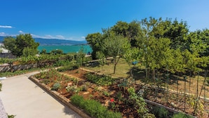 A rooftop garden with a view of the sea, a concrete pathway, and various plants. - Apartments Star by the sea (Dobrinj)