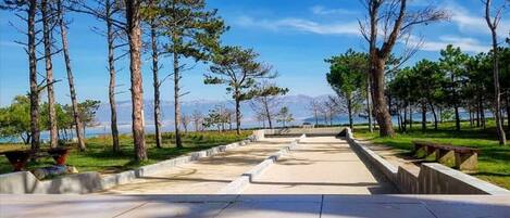 海灘