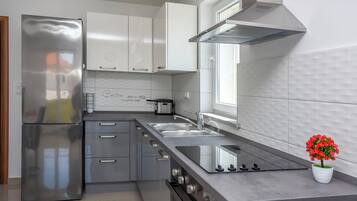 Apartment (A2) | Private kitchen | Fridge, stovetop, electric kettle, cookware/dishes/utensils