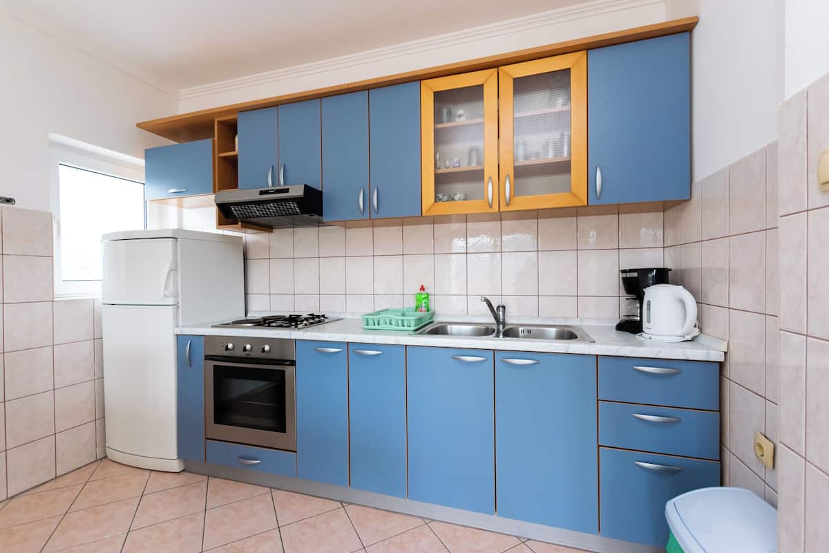 Apartment (A2) | Private kitchen | Fridge, microwave, oven, stovetop