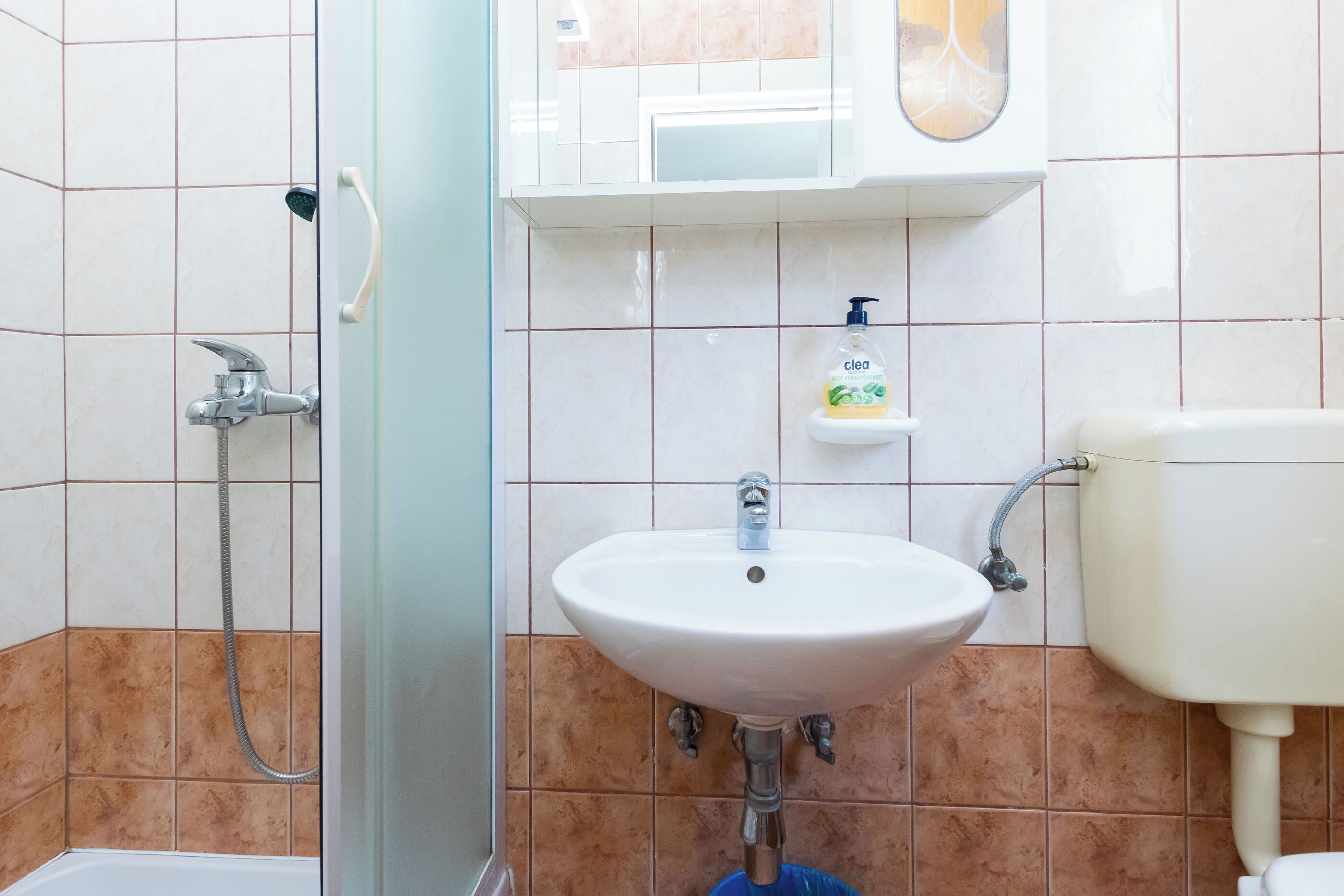 Een badkamer met een douche, wastafel, toilet en een zeepdispenser aan de muur.