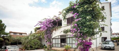 Un bâtiment à deux étages, doté d’une façade blanche et recouvert de plantes grimpantes aux fleurs violettes. Une voiture est garée devant, et une autre est stationnée dans la rue.