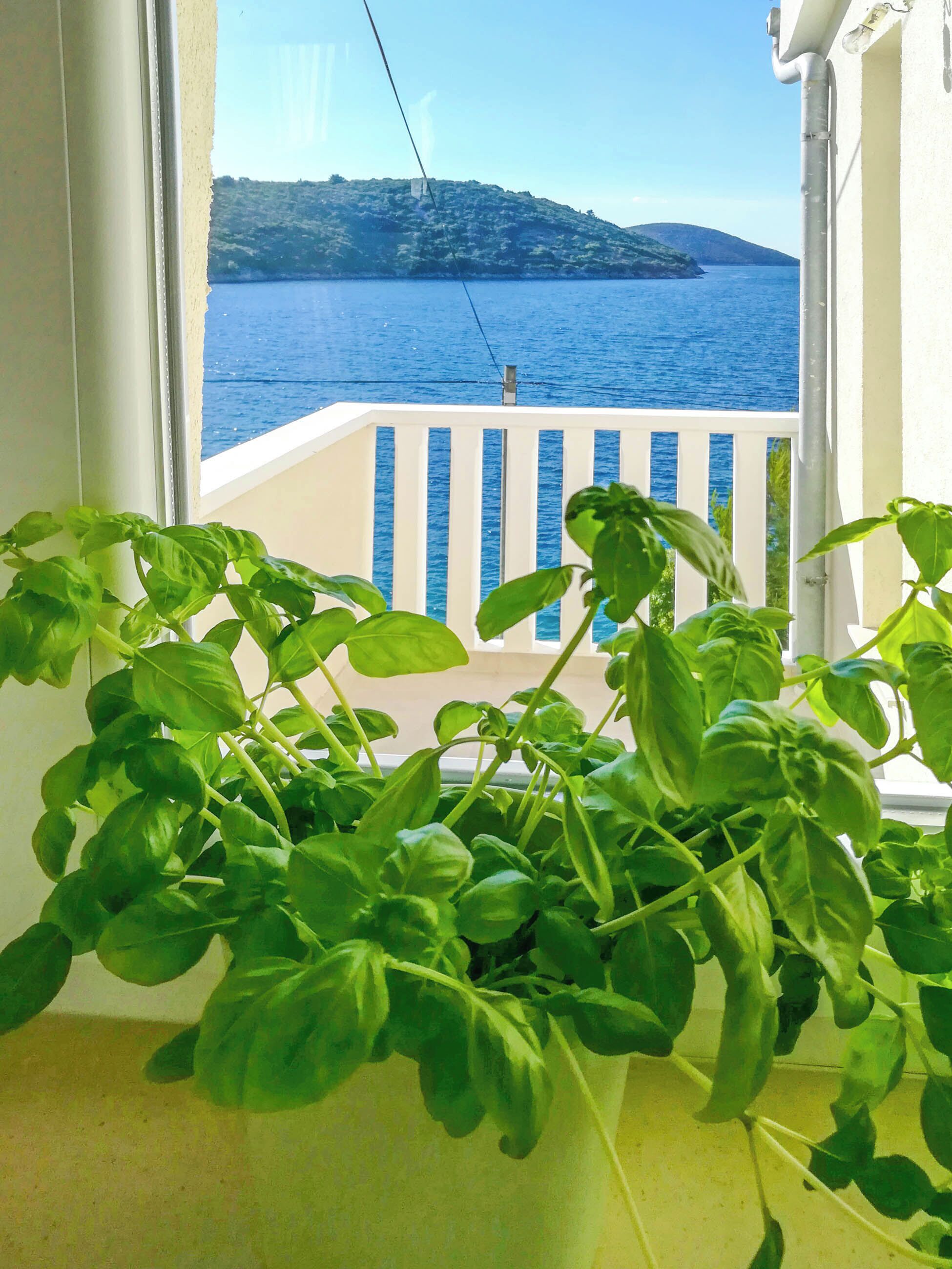 Apartment (A1) | Blick auf das Wasser