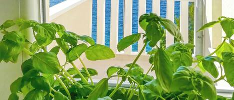 Apartment (A1) | Blick auf das Wasser