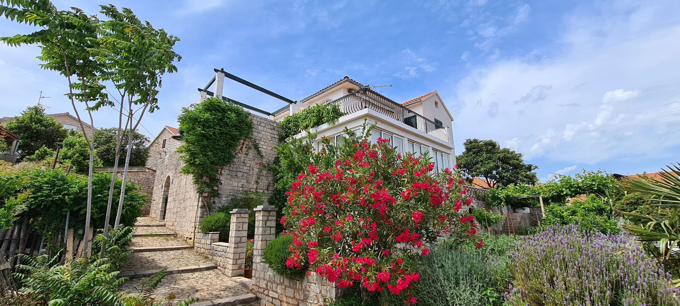 تصميم المبنى