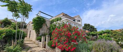 建物のデザイン