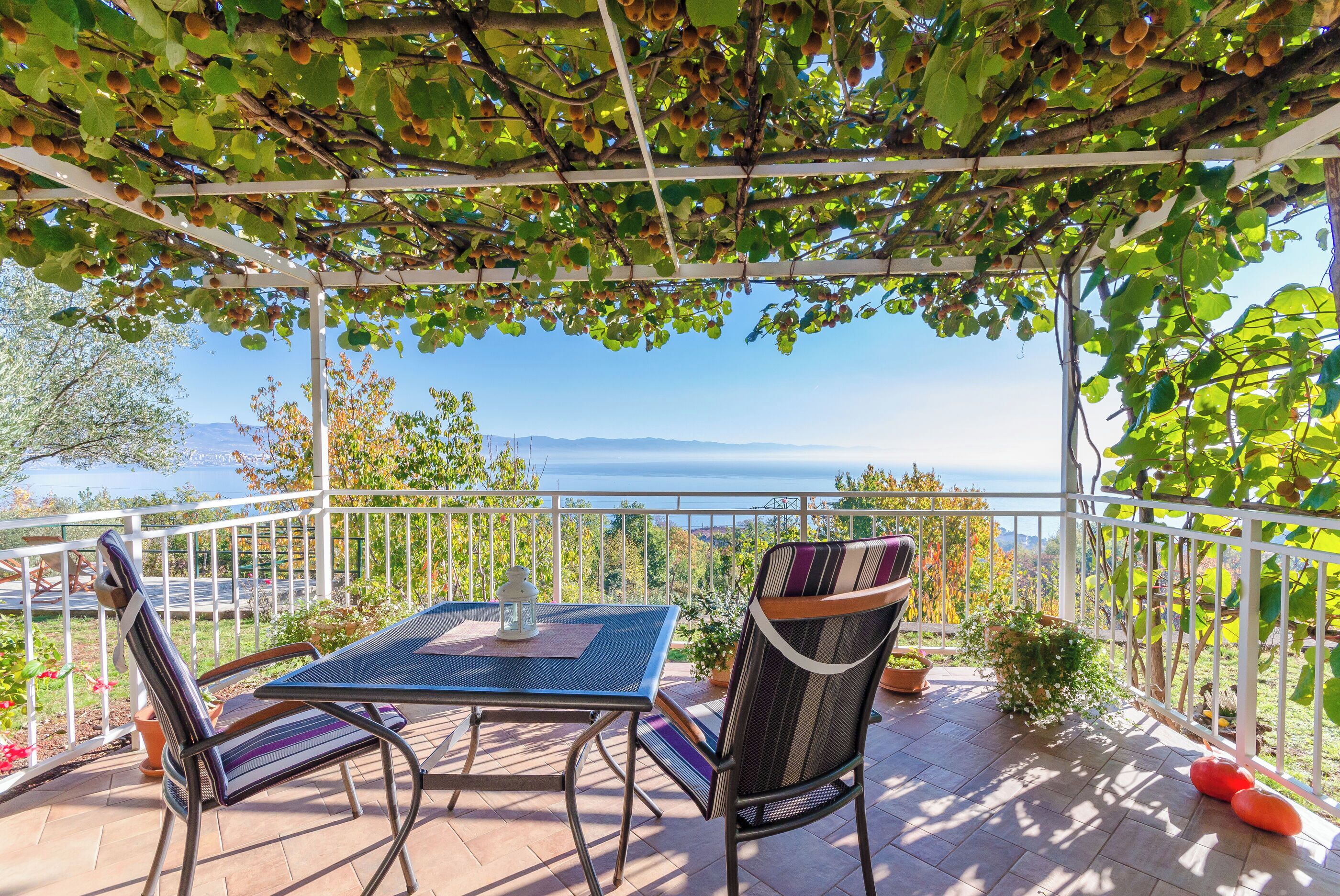 A patio with a table and chairs, a pergola with climbing plants, and a view of the sea.