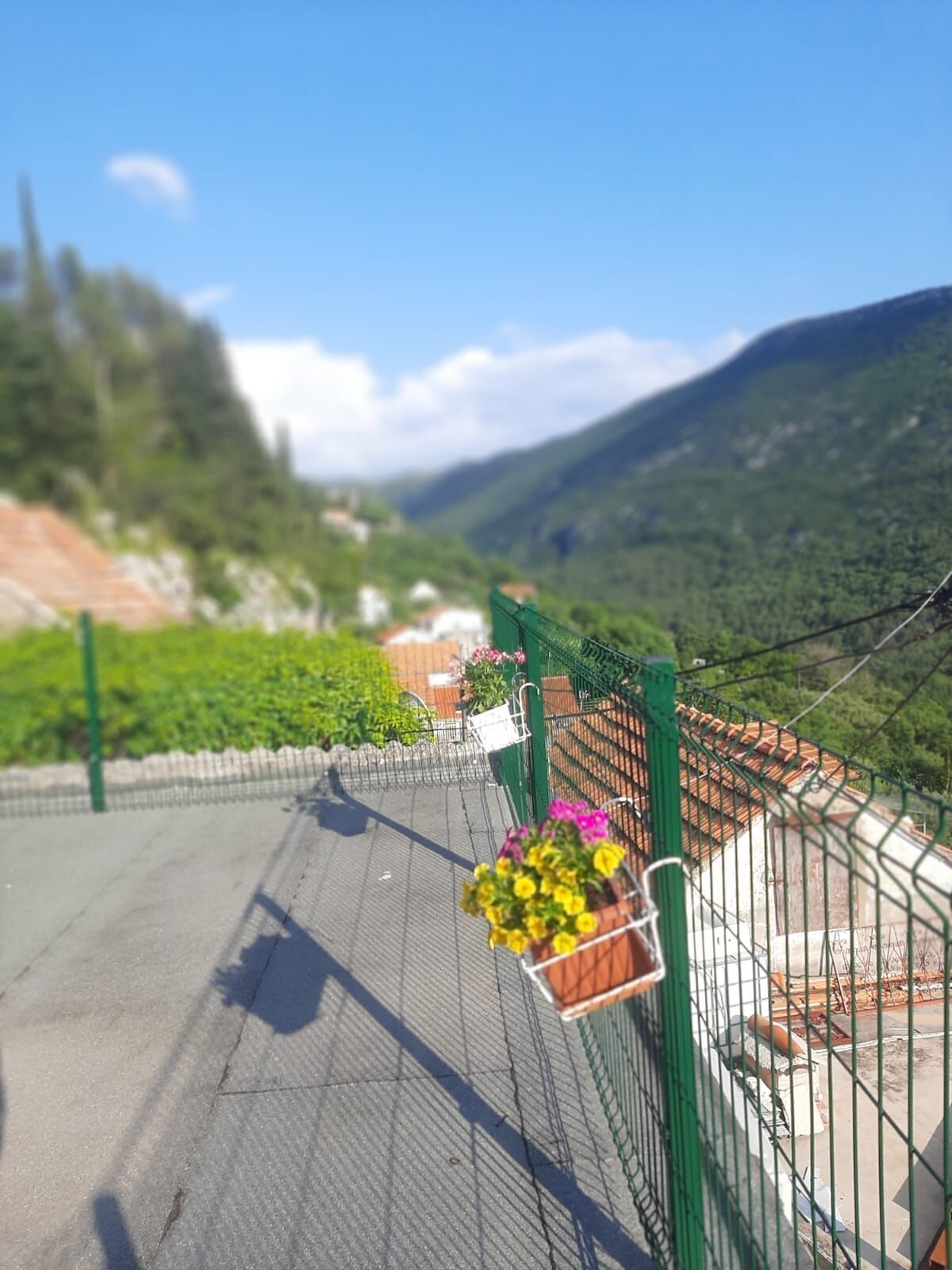 Mountain view