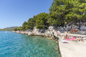 Una spiaggia costiera con acque limpide, scogliere rocciose e alberi.