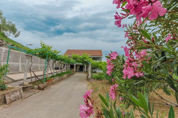 A pathway leading to a building with a tiled roof, surrounded by greenery and pink flowers.