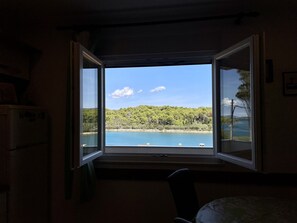 Apartment (A2) | Aerial view - Apartments Veli Rat (Sali)