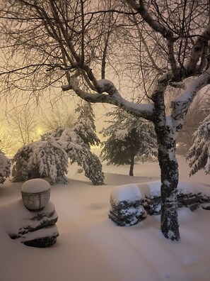 Property grounds - Mountain chalet with private toboggan run! It seems like a dream, but it's real! (Cortes do Meio)