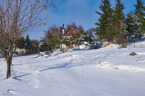 Exterior - Mountain chalet with private toboggan run! It seems like a dream, but it's real! (Cortes do Meio)
