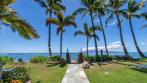 En sti der fører til en port med udsigt over havet og palmer.