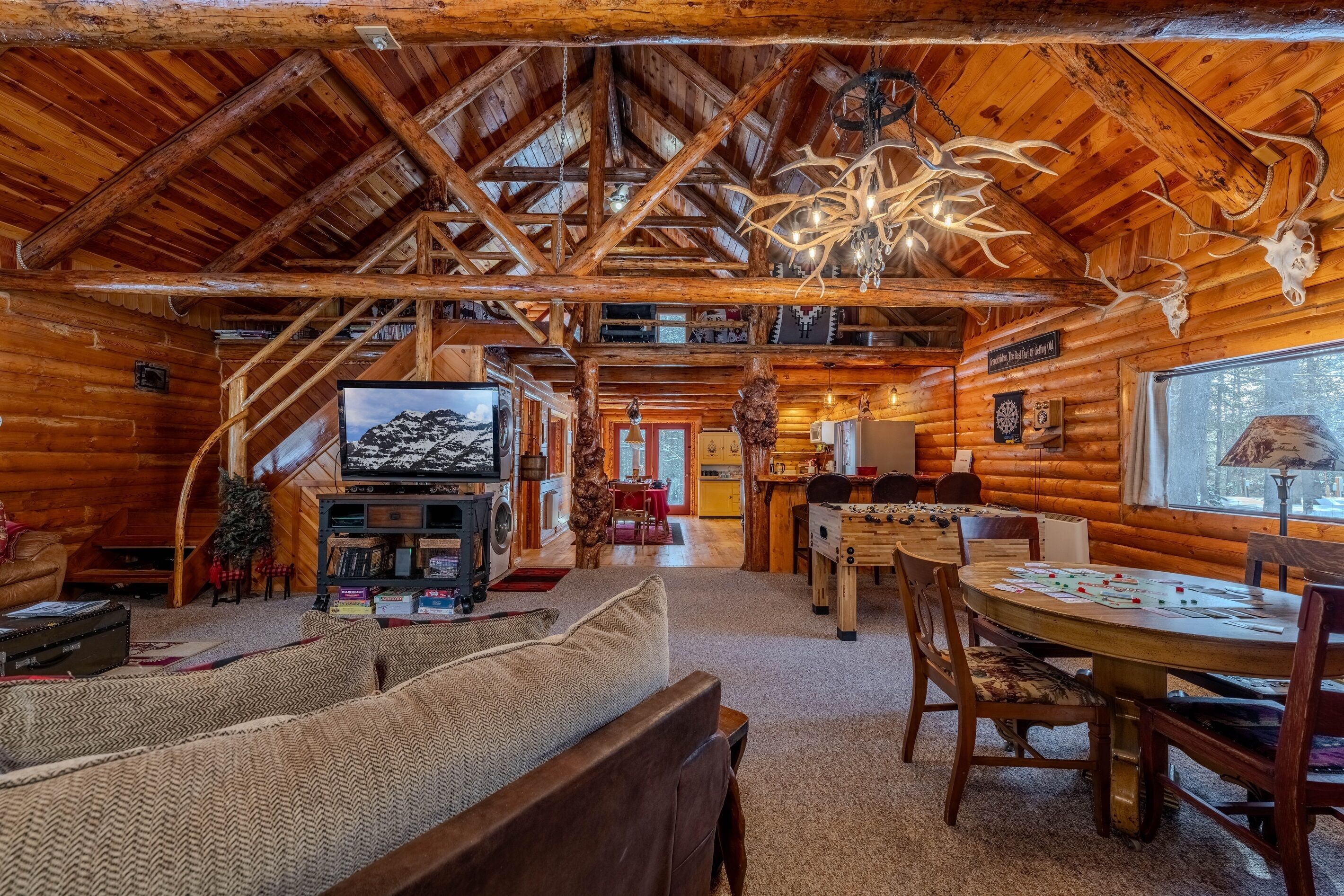 TV, fireplace, books