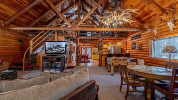 TV, fireplace, books