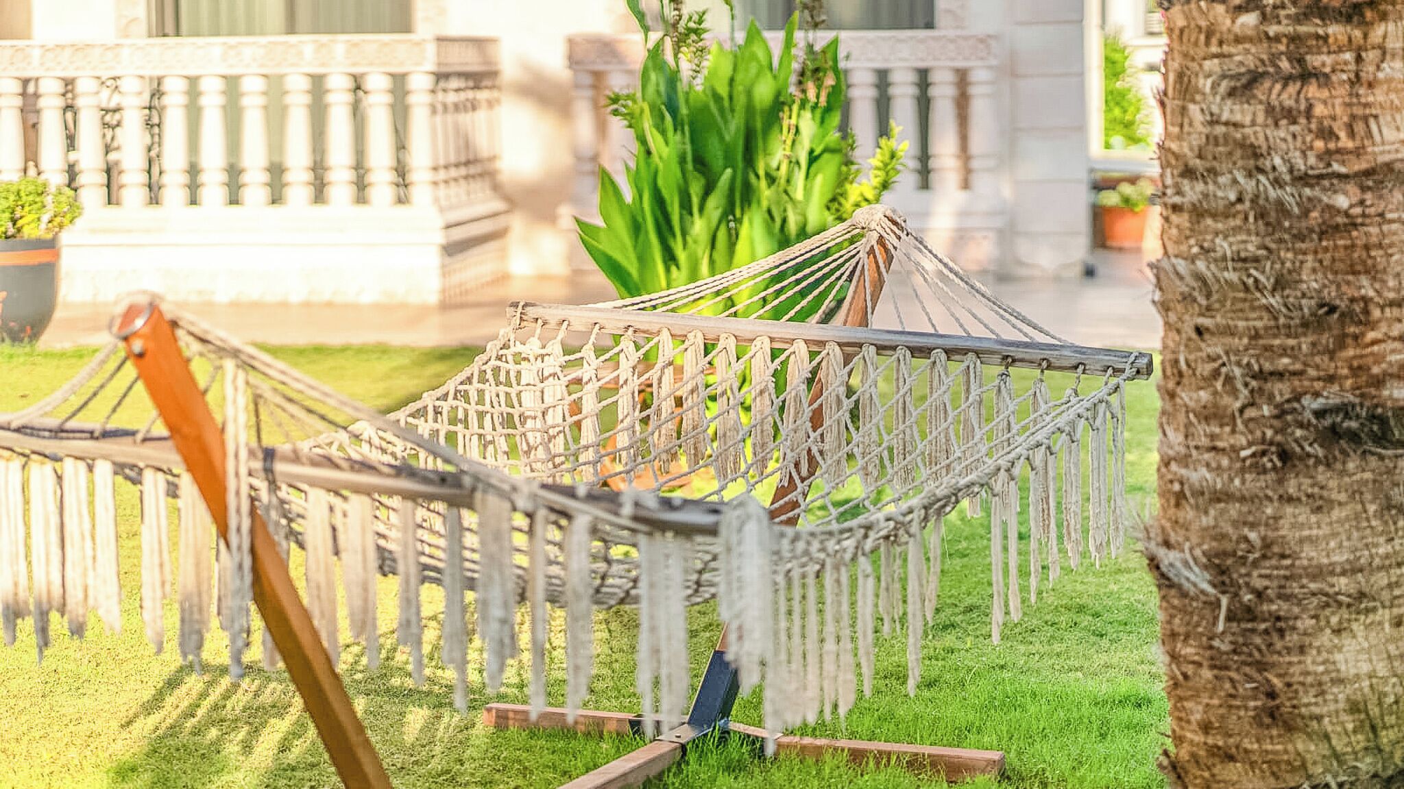 Parco della struttura