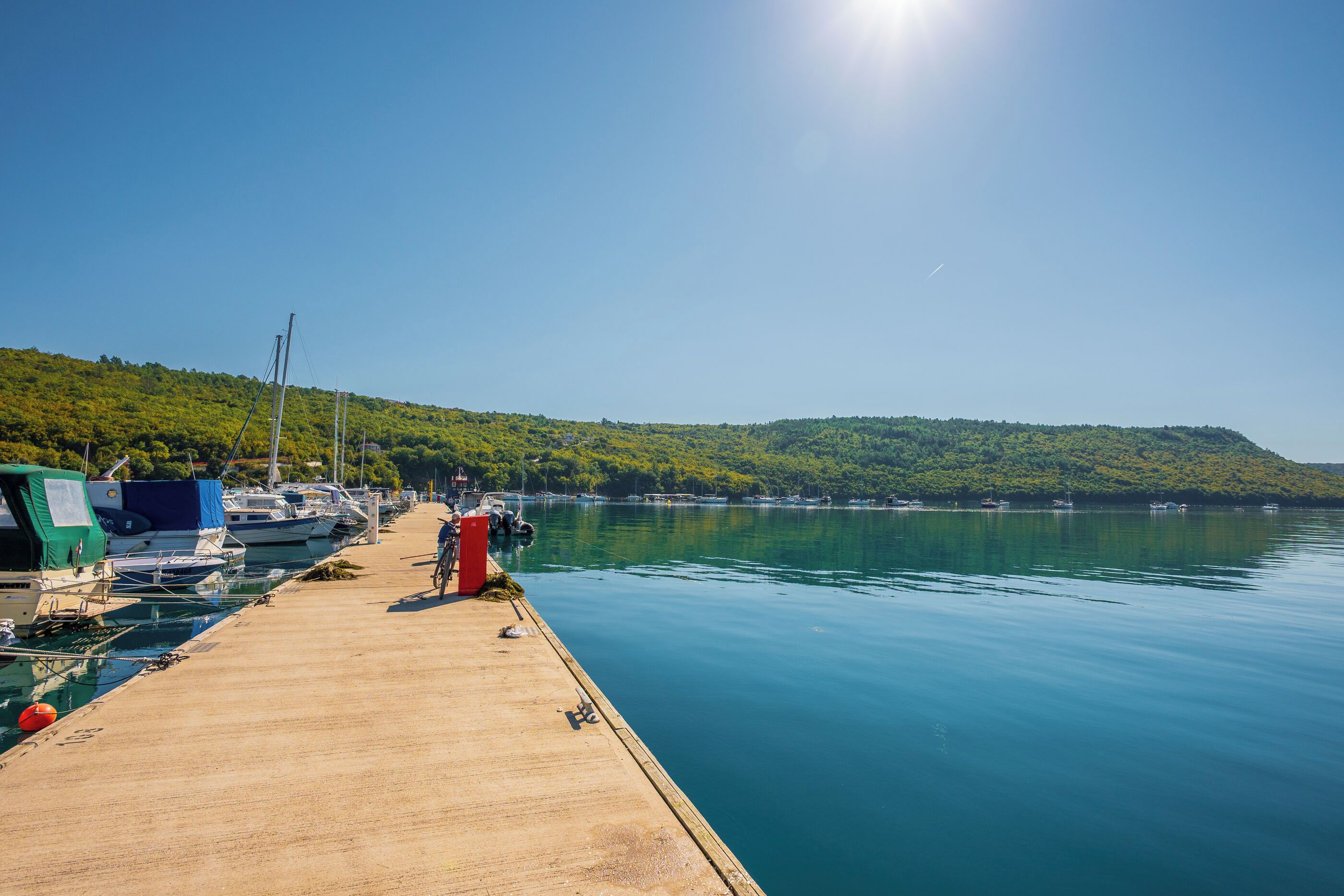 A marina with boats docked, a wooden pier, and a forested hill in the background.