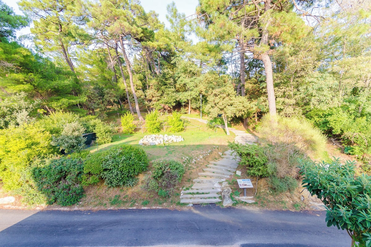 A stone pathway leading through a lush garden with dense trees and shrubs.