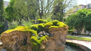 Eine von Moos bewachsene Felsformation mit Schildkröten, umgeben von viel Grün und einem Wasserspiel.
