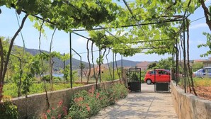 A vineyard with a paved walkway, a red car parked in the background, and a clear view of the surrounding landscape. - House Neda (Marina)