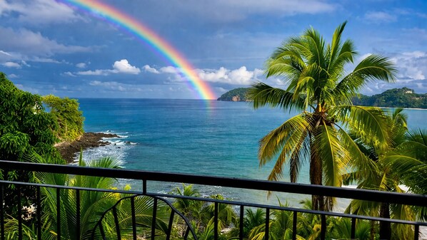 A tropical beach with a clear view of the ocean, a rainbow, and palm trees.