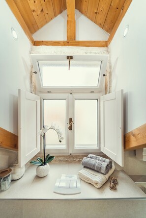 Studio (A1) | Bathroom - Apartment Gorgeous Historic Home (Split)