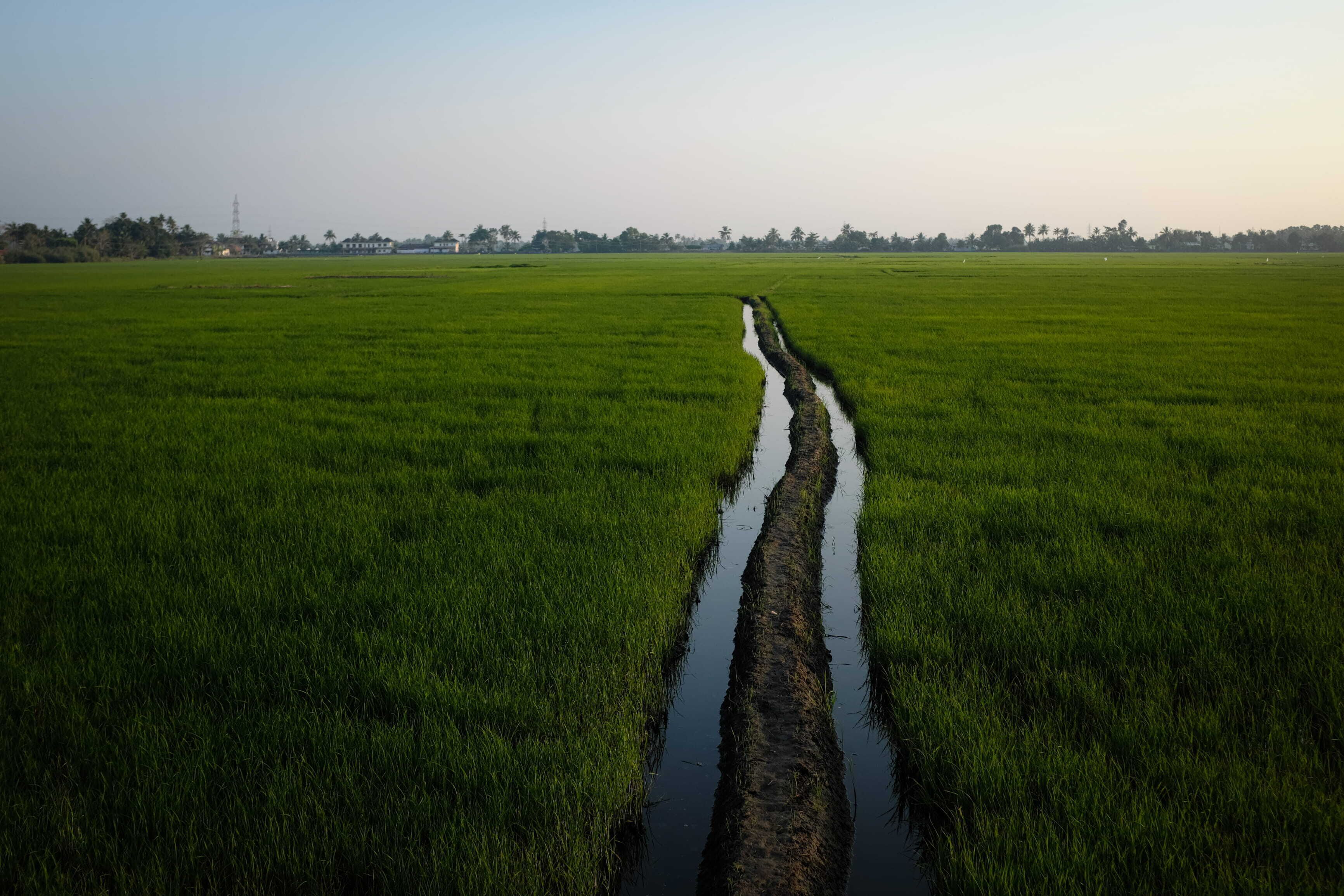 A vast green field with a narrow water channel running through it.