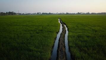 A vast green field with a narrow water channel running through it.