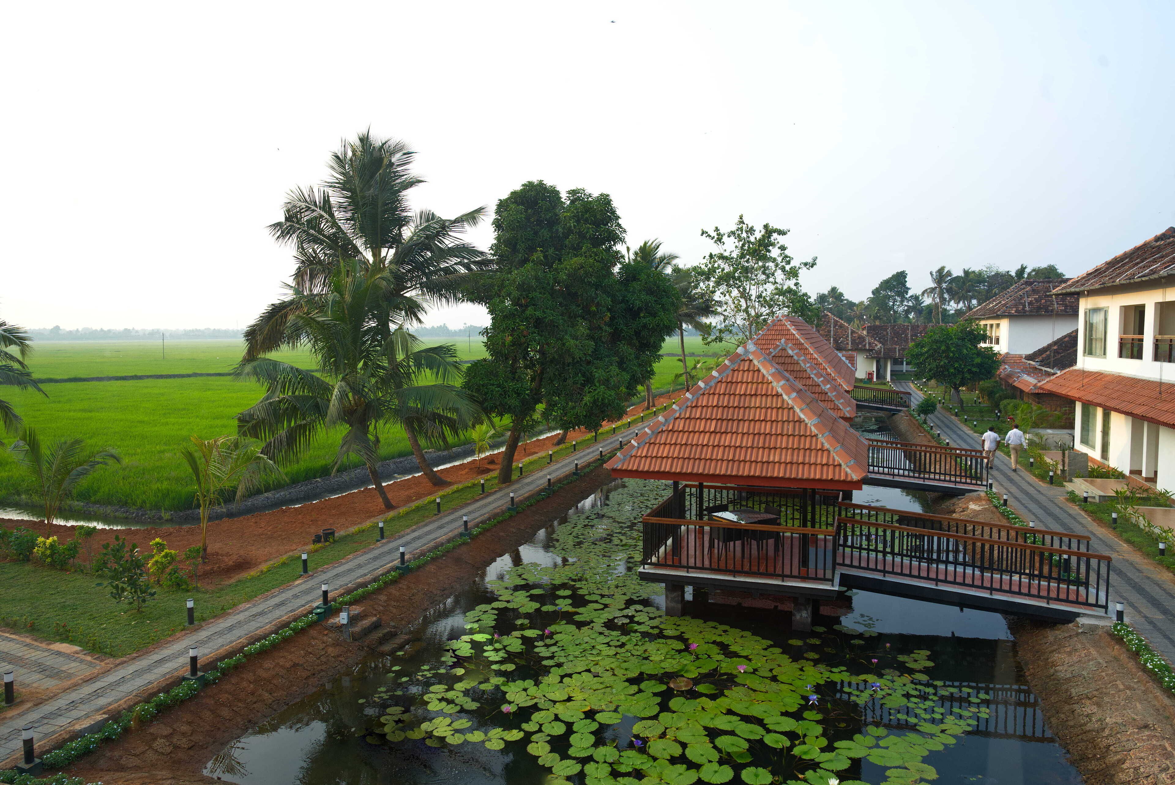 A traditional building with a tiled roof, a small bridge, and a water body with lily pads.