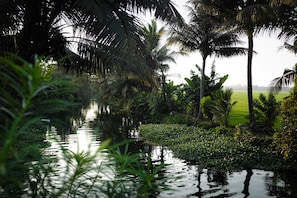 A serene waterway with lush greenery and palm trees. - Vedic Village Retreat Alleppey (Alappuzha)