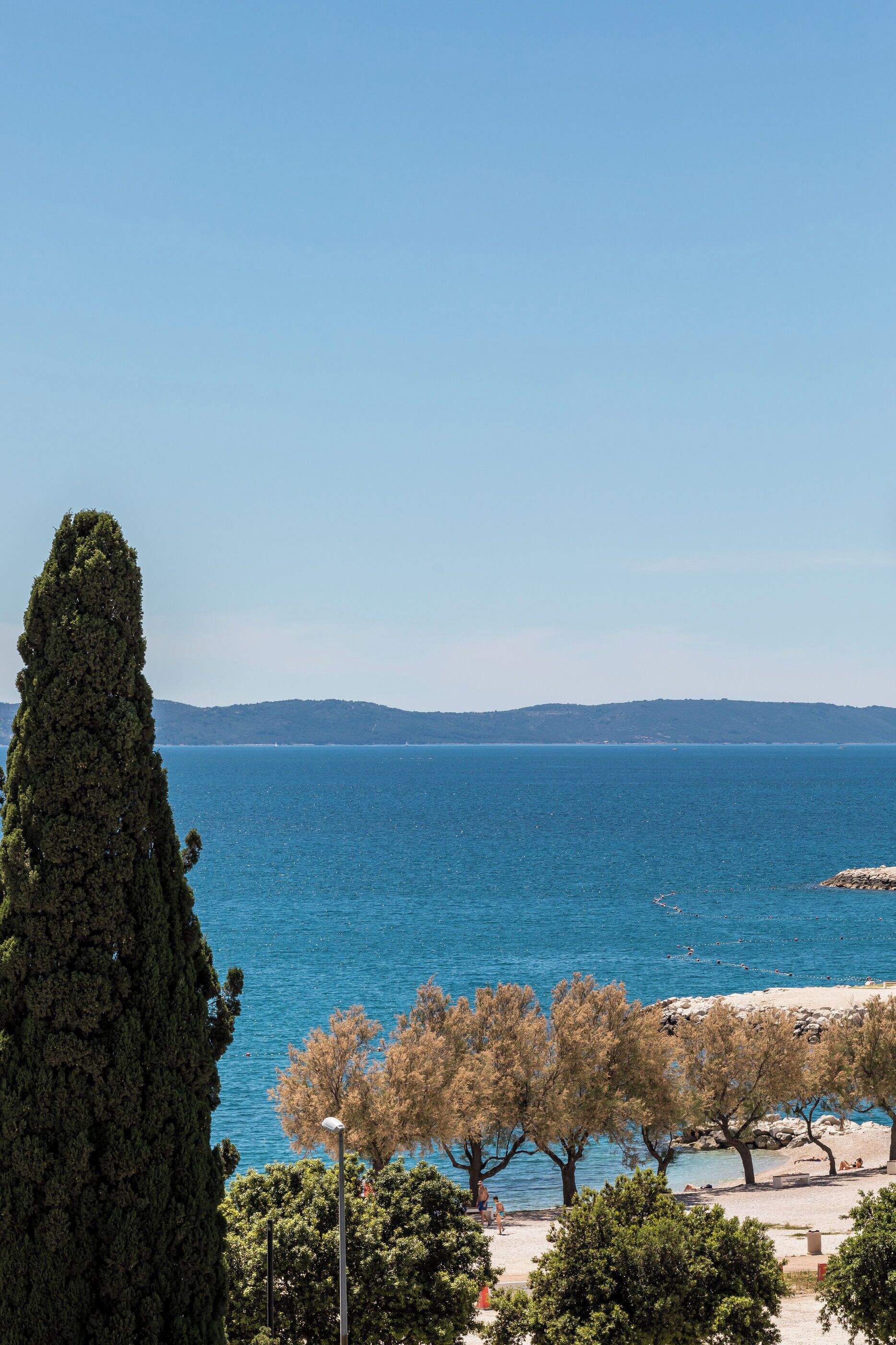 A coastal view with a tall cypress tree, beach, and distant hills.